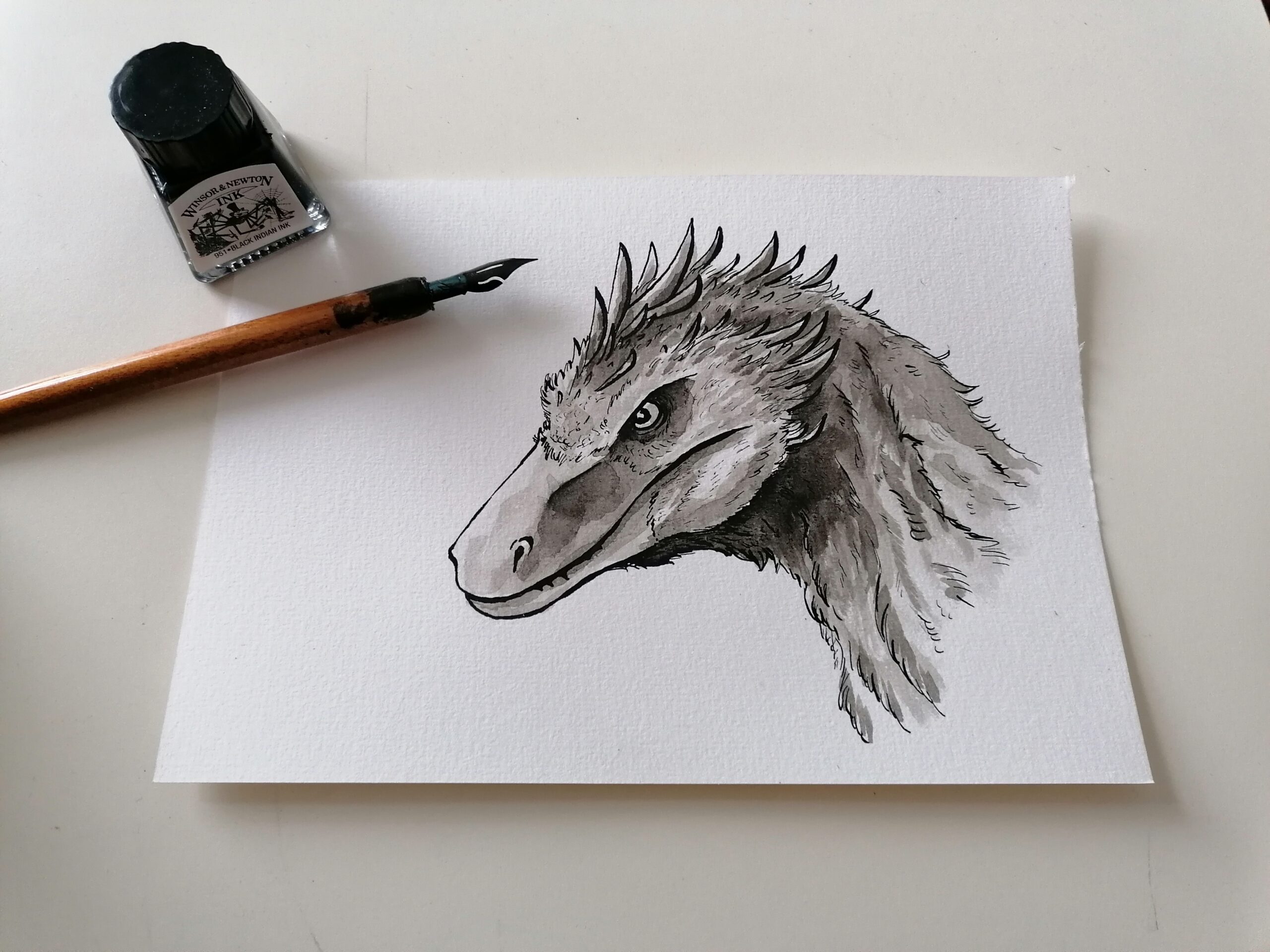 „Zeichnen mit Tusche und Feder“ ab 11 Jahren für Jugendliche und Erwachsene, ML/26/6